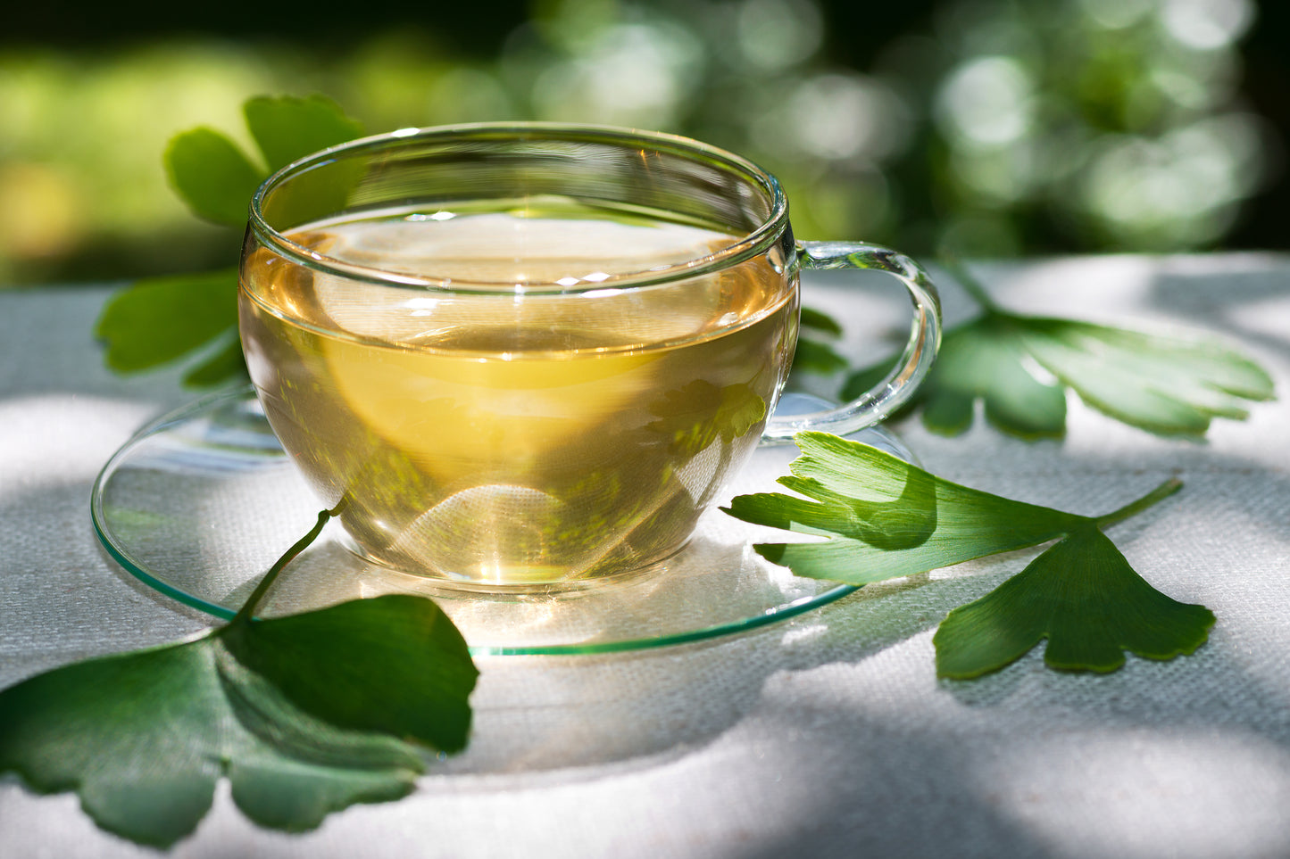 Ginkgo Biloba Tea