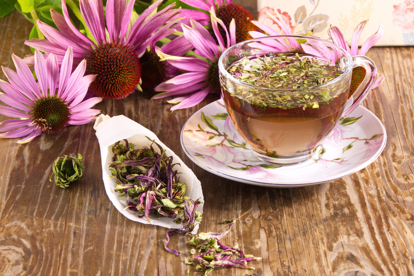 Echinacea Tea