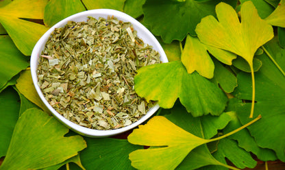 Ginkgo Biloba Tea